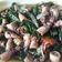Cooksnap dari shanty untuk resep CuSinBeJo (Cumi Asin Cabe iJo)