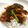 Cooksnap dari justin kukie untuk resep Nasi Sayur a la  warung Pak Djo Surabaya  #pr_homemadestreetfood