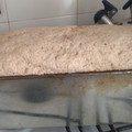 El cooksnap de Fernando Valdez cuando hizo Pan integral de avena con semillas❣.