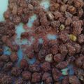 El cooksnap de Maria Elia Soria cuando hizo Garrapiñada de maní 😋.