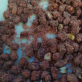 El cooksnap de Maria Elia Soria cuando hizo Garrapiñada de maní 😋.