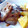 El cooksnap de Cook_and_Jud cuando hizo Fricandó de ternera con puré de patata y emulsión de aceite de trufa.