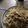 Cooksnap από Strata Al. στη συνταγή Χυλοπίτες με μανιτάρια πλευρώτους σε λευκή σάλτσα