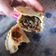 El cooksnap de sofi cuando hizo Empanadas de carne picada.
