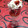 El cooksnap de Daniel Navas cuando hizo Frutillas con crema chantilly.