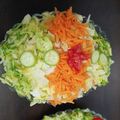کوک اسنپ M.shbani بعد از امتحان کردن تزیین سالاد فصل (۱)🥬🍅🥒🥕🥗.