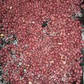 Vivian Namwalo's cooksnap of when they made Oven roasted groundnuts.