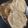 Pinal Patel's cooksnap of when they made બિસ્કીટ ભાખરી (Biscuit Bhakhri Recipe In Gujarati).