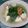 Cooksnap dari Alfiana Nur Hasanah untuk resep Sayur cheisin sawi hijau + tahu putih