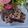 Cooksnap dari Evida Kartini untuk resep Triple Fudge Brownie
