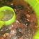 Cooksnap dari Reva Aulia Oktavia untuk resep Pudding Coklat Nutrijell+Oreo