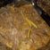 Cooksnap dari riyadi Putra untuk resep Rendang Daging Sapi