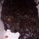 Cooksnap από Natassa στη συνταγή Chocolate fudge brownies