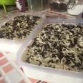 Cooksnap dari Andra Tjahyo untuk resep Setup roti tawar keju lumer