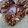 El cooksnap de Sandra_M cuando hizo Turrón de chocolate negro con mijo hinchado y almendras.