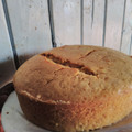 Margie Rugush's cooksnap of when they made Orange cake.