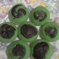 Cooksnap dari Raja untuk resep Bolu pandan coklat kukus (no timbangan, no mixer)
