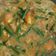 Cooksnap dari Muh Arsyad untuk resep Sayur Santan Pedas Udang Tahu Tempe