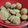 El cooksnap de sonia mujica cuando hizo Scones Dulces súper fáciles.