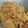 Cooksnap mamy_kitchen89 semasa beliau membuat Bihun goreng kampung.