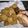Cooksnap dari Indar untuk resep Nugget pisang ala saya
