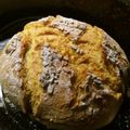 Cooksnap από Irene Pag στη συνταγή Τραγανό ψωμί στην κατσαρόλα χωρίς ζύμωμα!!!
