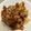 Ginny 的 蜜汁排骨 cooksnap