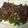 Cooksnap dari Idha Sri Hayati untuk resep Baby buncis cah daging sapi cincang