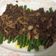Cooksnap dari Idha Sri Hayati untuk resep Baby buncis cah daging sapi cincang