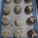 รูป Cooksnap ของ Phacharada เมื่อเขาทำ Buns กรอบนอก นุ่มใน