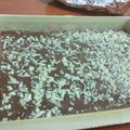 El cooksnap de Sara Elizabeth Kaplan cuando hizo Pie marmolado de tres chocolates.