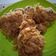 Cooksnap dari Tati Hariswati untuk resep Ayam Kriting Kiting Kriwil Krispi Kribo Kriuk