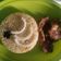 Cooksnap dari Viena untuk resep Nasi kebuli ricecooker (kambing)