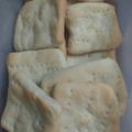 El cooksnap de sebastian leandro cuando hizo Galletas marineras modernas.