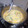 El cooksnap de Manuel Bueno cuando hizo Calabacitas con crema.