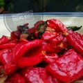 Cooksnap dari dhianrachmach untuk resep Tumis Kulit Buah Naga