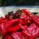 Cooksnap dari dhianrachmach untuk resep Tumis Kulit Buah Naga