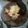 Cooksnap dari Ghita Rizkiah untuk resep Sambal Kol Goreng