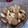 El cooksnap de isafogatti cuando hizo Scones dulces con pasas de uva.