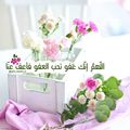 صورة من Norhoda.....عام سعيد، شاركها بعد تجربة وصفة رز بالخضار 🎨