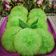 Cooksnap dari Sofie Sjach untuk resep Kue Cucur Pandan