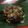 Cooksnap dari Bunda Kieky untuk resep Bekicot oseng mercon