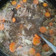 Cooksnap dari Irma untuk resep Sop Buntut ala Restaurant