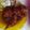 Cooksnap dari Putri Boloen untuk resep Fire chiken wings ala rechees