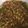 Rehana Wasim's cooksnap of when they made Lobiya masala.