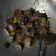 Cooksnap dari Prita Avianti untuk resep Terong bilih lado mudo (cabe hijau)