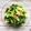 Cooksnap Nurul Kefftya semasa beliau membuat Sayur PakChoy Tumis simple jer.