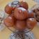 Ankita Solanki's cooksnap of when they made ગુલાબજાંબુ(Gulab jambu Recipe in Gujarati).