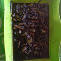 Cooksnap dari Devy Kaleb untuk resep Cumi Masak Hitam Simpel Banget