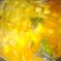 Cooksnap dari Dhini Simamora untuk resep Gulai ikan tongkol nanas